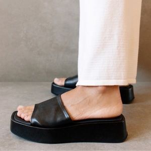 Alohas Janice Platform Slides